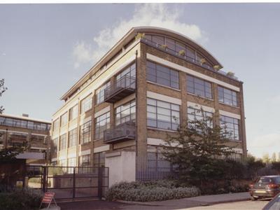 Picture 8